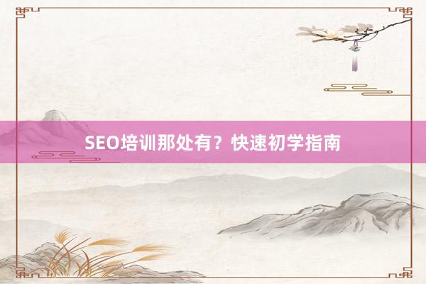 SEO培训那处有?快速初学指南