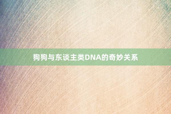 狗狗与东谈主类DNA的奇妙关系